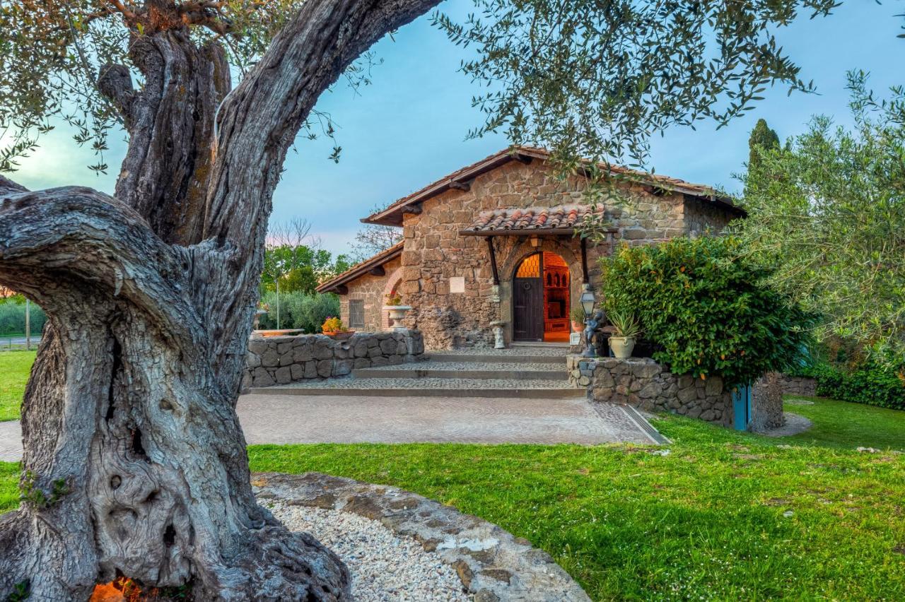 Roman Oasis Villa Ciampino Kültér fotó